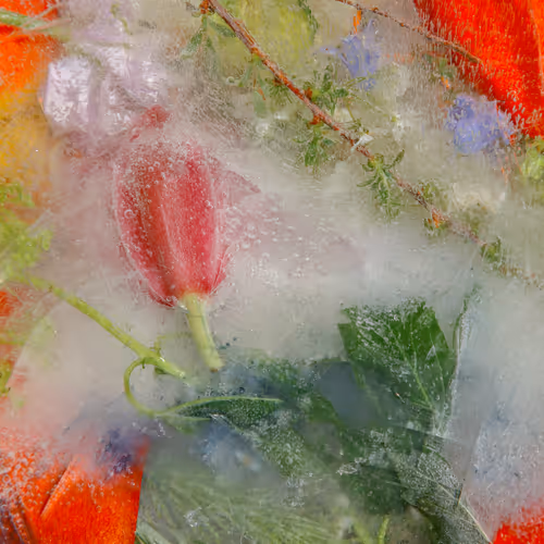 Item #80829721372825377784010953381890255518558028243098186913878117754252455575553 Media