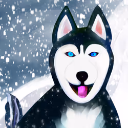 76529778981058548716551594817592668156848812340790516052571042262301955588097