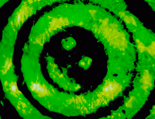 Item #71646257518770613568983710813551014237803002136866425209291833786600540602369 Media