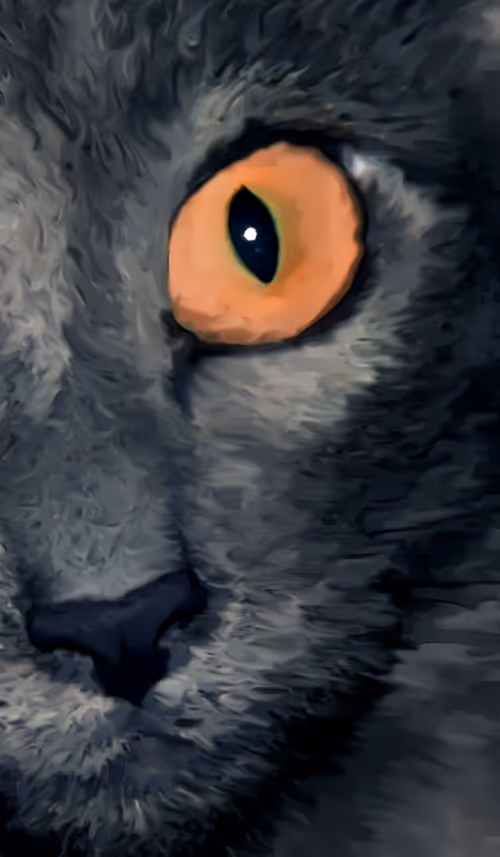 Item #78887408928857107084579435723539330169562186899242412270233829423497036693505 Media