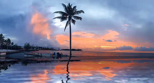 Item #49174666910166564779922856925235532419926271386136280699772621406066777784321 Media