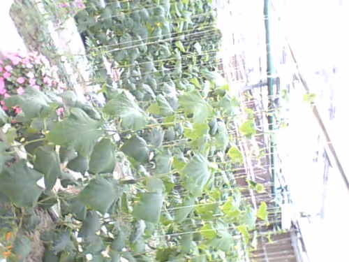 Untitled Collection #85984718