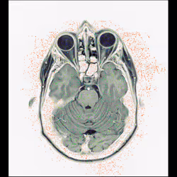 64162533542198579898252916190583583845604629893829087458582976126223529279489