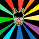 Vegan Warrior #7 –Rasta the lama