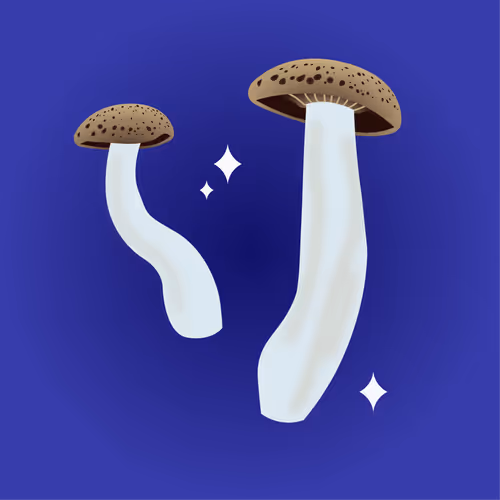 Item #53620360078498613901339183149326713416038543427946561370212887997612742934529 Media