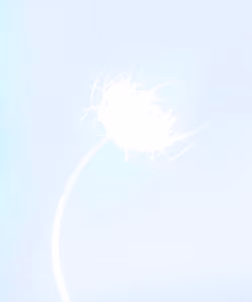 Item #66412083877775050052255921183624814536266007620308041883263231607044474667009 Media