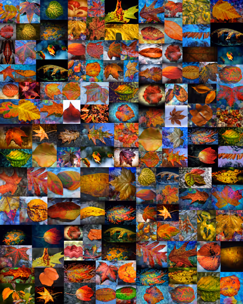 Item #57454491023137916107007493201948815472587961712729591816545853688382958338049 Media