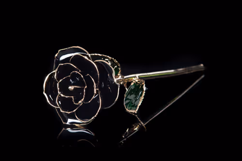 Item #22969295015453494261367825121290153757090535459802507599951433499148824870913 Media