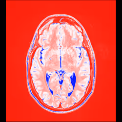 64162533542198579898252916190583583845604629893829087458582976500057482723329