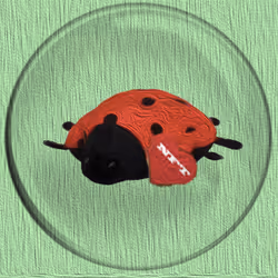 41776025324002017952572422073316458441069080831023694546850786268978454986753