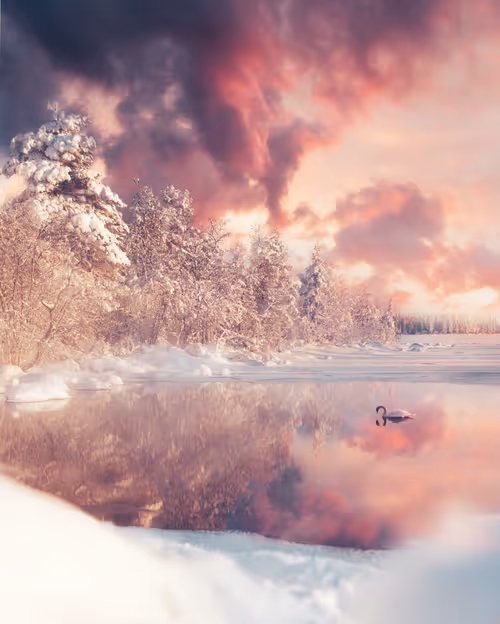 Item #134489906944514601836567189437532879130233761745768622289177297593084936193 Media