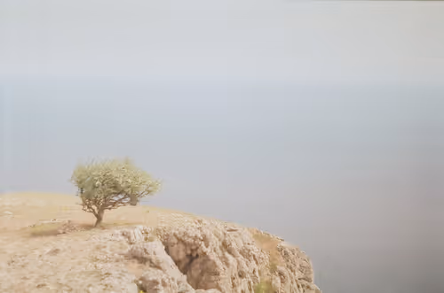 Item #36677197278733282434979004618714467068375419752773231098231422630167488495617 Media