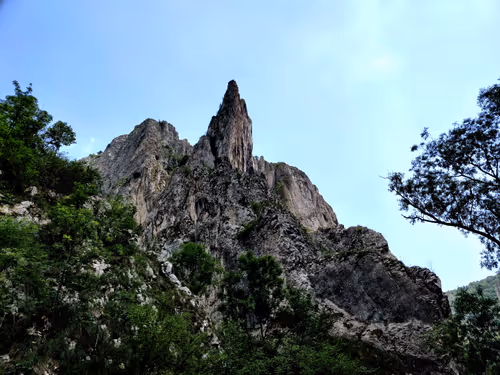 Item #89280554323355594991187074472248038858407737150671798798762341985054359552001 Media