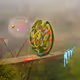 12794651107868095470975902829101134562057123184214298840056390852390026215425