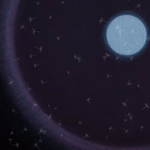 Dandelionsky