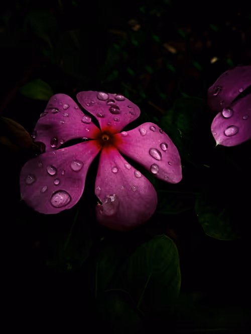 Item #96271167049217915150770588908296810010425213803415415950179193495891533103105 Media