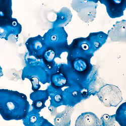 9251341193756129610411101804839683921415719585297066577807806953512169897985