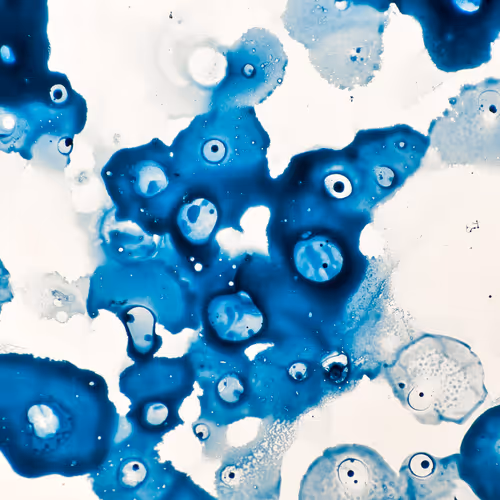 9251341193756129610411101804839683921415719585297066577807806953512169897985