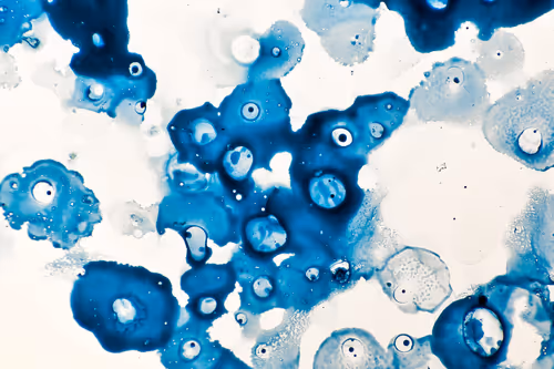 Item #9251341193756129610411101804839683921415719585297066577807806953512169897985 Media