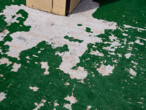 Item #77612435889549989959633814934000977317248207544468655990569008374193904943105 Media