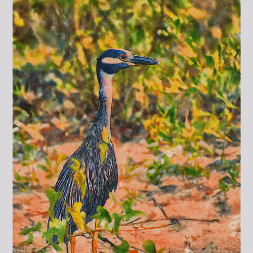 55704534837685659622621715309832868758345944585427688586690141445450668965889