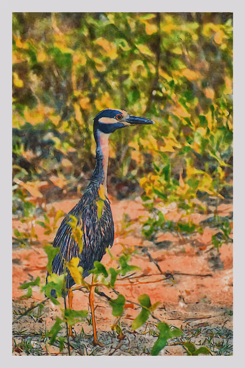 Item #55704534837685659622621715309832868758345944585427688586690141445450668965889 Media