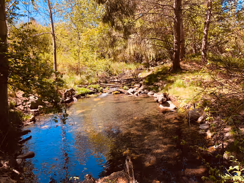 Item #23693537714086204611676086495365821193573285905873750123348194074004580990977 Media