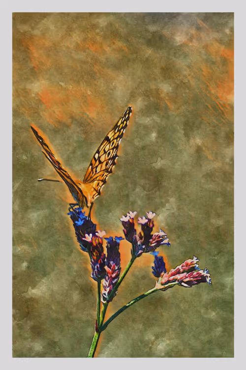 Item #55704534837685659622621715309832868758345944585427688586690141410266296877057 Media