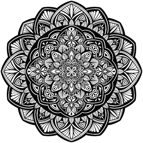 Moving Monochrome Mandalas