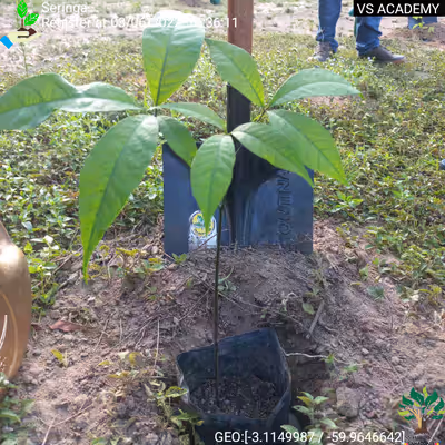 Item #8500196597889277390194123329501889087166328879864934763448348803925104656385 Media