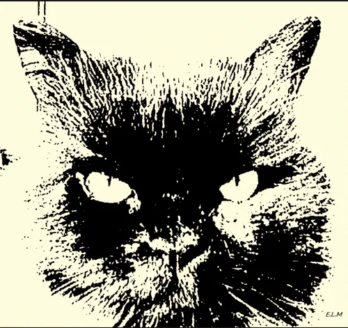 Item #7332445844289244381018128462759425138890330151948511199121516910887204552705 Media