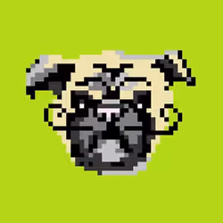 Unimpressed Pug #020