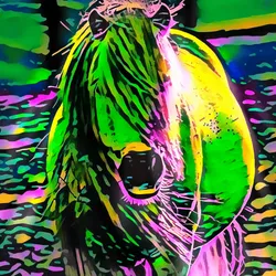 50830097462543580601473563981388698009005024090223633461481090006455204970497