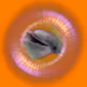66306531382369860944348299800444796336431007898945968859805836071772518088705