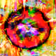 113246798657490777345553069234915868020574953798045871200463163313748900315137