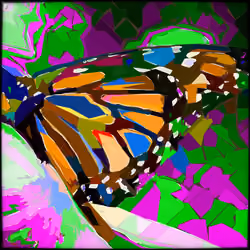ClubAi V2 #544