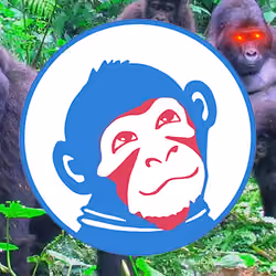 Crazy Monkey 12