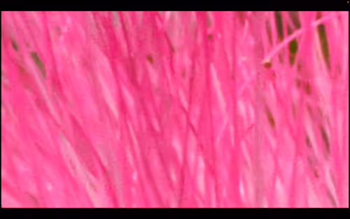 Item #112000724350228495474711911108130364376243231564197861893917096505096798218 Media