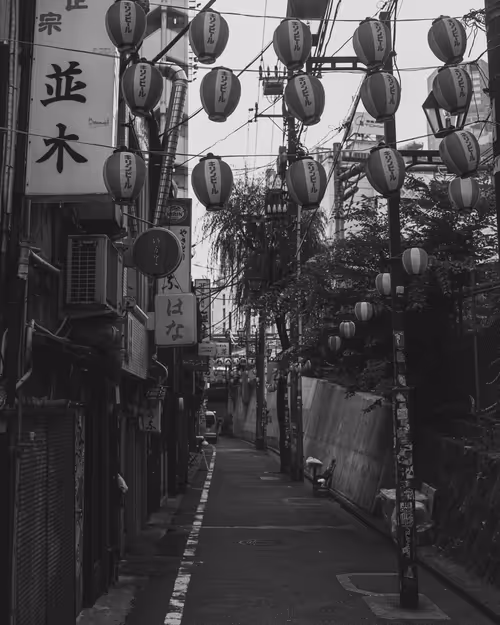 Item #95633765474931350240165697288740384276668175365753332134829565057450746314753 Media