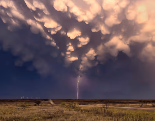 Melanie Metz Editions