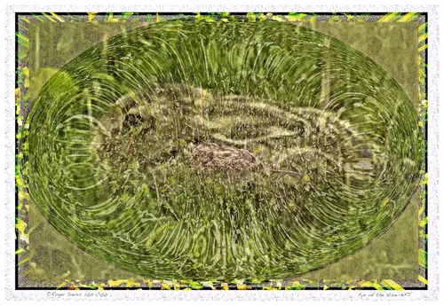 Item #6968899724388266606176016145545160509277227480062482001621938569916431990884 Media