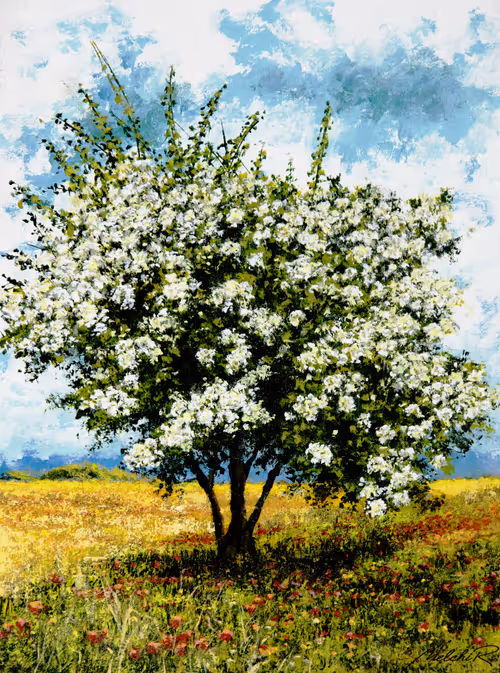 Item #110029838572198662821673087368431480016956825603177729317162674709541263769601 Media