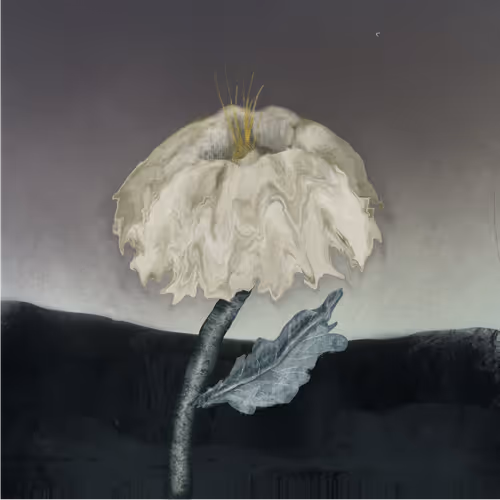 Item #43913605998179715473547498006402033538111059070665374435694579772565330329601 Media