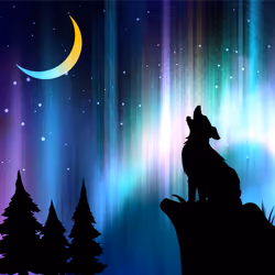 The Aurora Borealis