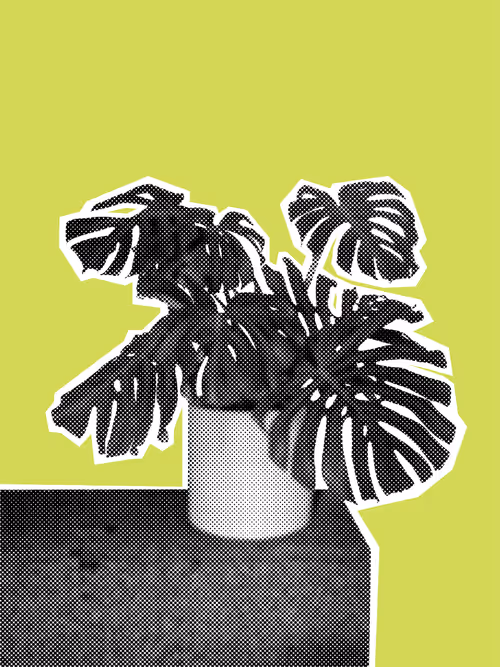 Item #25379124807980713745219244606437574046087384809022650852355167111520911884289 Media