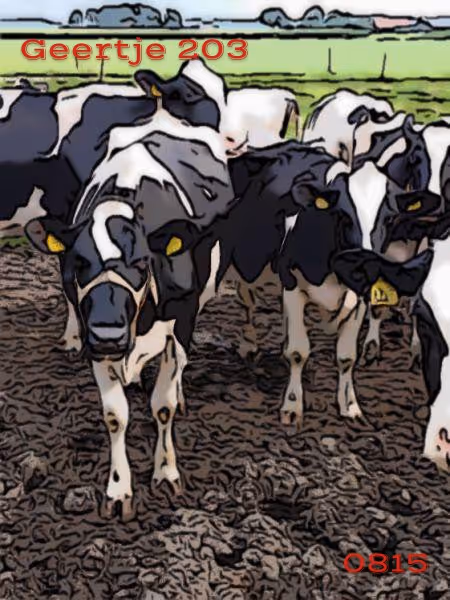 Item #106168068867162485094593885732241547229015412580842941571810197556039971241985 Media