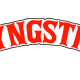 YNGSTR Collection