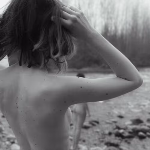 SimoneRisi Collection - old