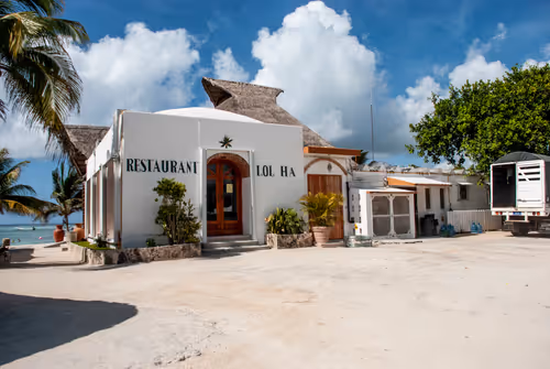 Item #59154946286010189732012368142144452370095057633127291979705499811418606665729 Media