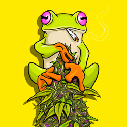 best budz #7